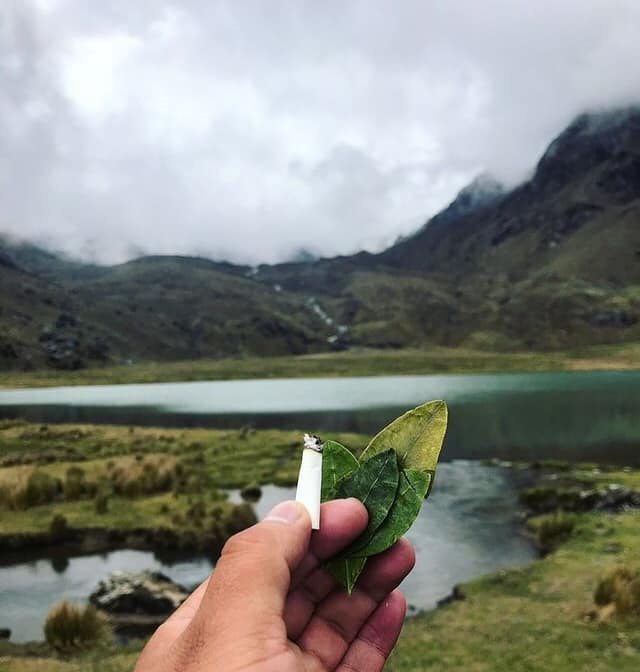 APU HUAYTAPALLANA - Imagen 2