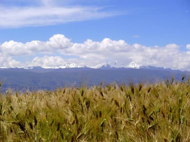 VALLE DEL MANTARO - Imagen 3